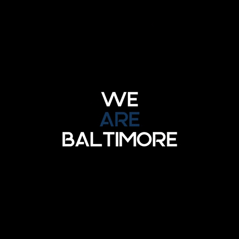 Searchbmore GIF