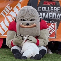 Pooch Hangs Out With Georgia Bulldogs Mascot
