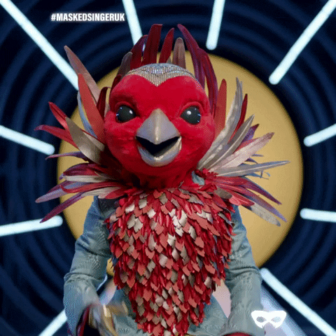 Robin GIF by The Masked Singer UK