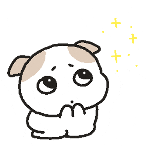 강아지 GIF