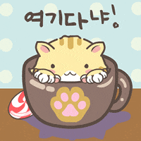 Mochi Mochi Peach Cat Gifs Get The Best Gif On Giphy Mochi Mochi Peach Cat Gifs Get The Best Gif On Giphy