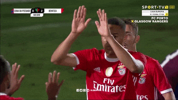 High Five Sl Benfica GIF by Sport Lisboa e Benfica