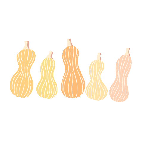 Pumpkin Pie Fall Sticker by True Food Kitchen