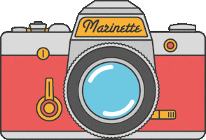 MarinetteVintage film vintage analog photography GIF