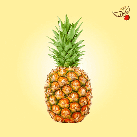 Bread Pineapple GIF by Pan Gabriel