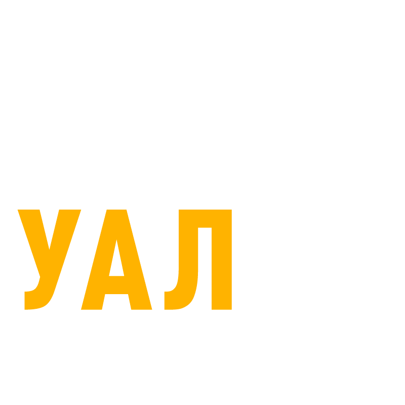 Ualandaction Sticker by Ukrainian Leadership Academy