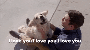 I Love You Dog GIF by Awkward Daytime TV