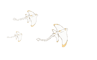 Wanessameloart Sticker