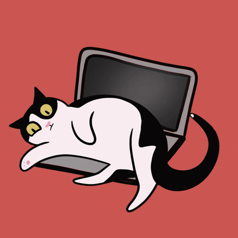 Buero Lyndgrun GIF