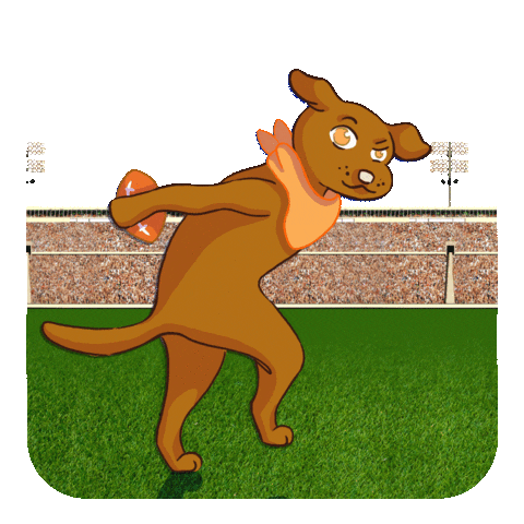Super Bowl Football Sticker by Puppy Bowl