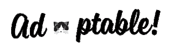 One Tail at a Time Sticker