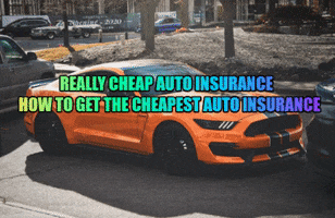 Auto Insurance GIF