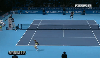 Davydenko GIF