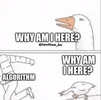 Goose Algorithm GIF