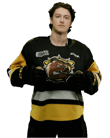 Brantford Bulldogs Sticker