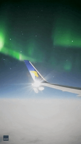 Northern Lights Aurora Borealis GIF by Storyful