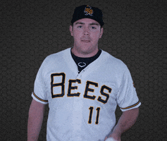Pitching Greg Mahle GIF by Salt Lake Bees