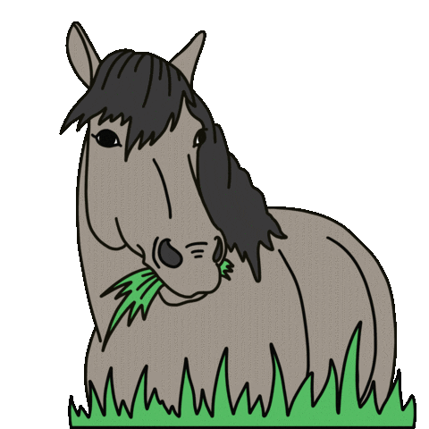 Horse Sticker