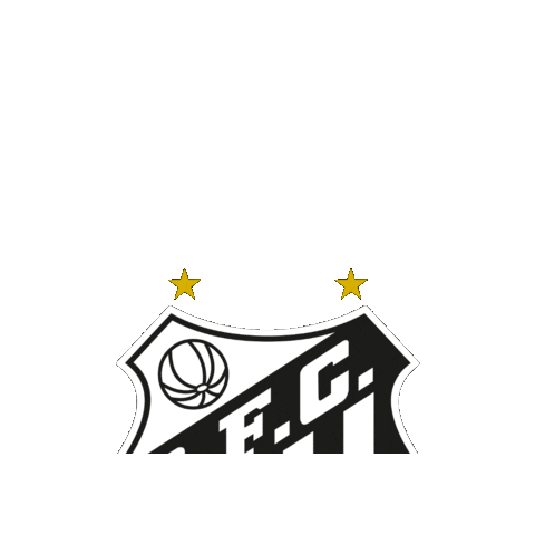 Sfc Sticker by Santos Futebol Clube