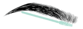 Distinctive Features Sticker