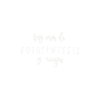 Maren Heroes Never Die Sticker by BULEGO