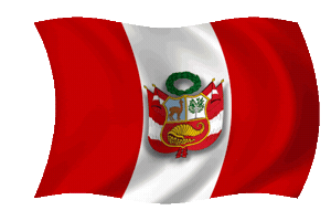Copa America Peru Sticker by Vai Banana Vai Leitinho