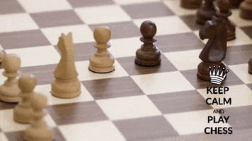 chess pieces moves gif