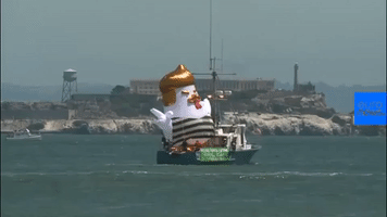 trump duck GIF by euronews
