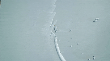 beauty landscape GIF by BBC Earth