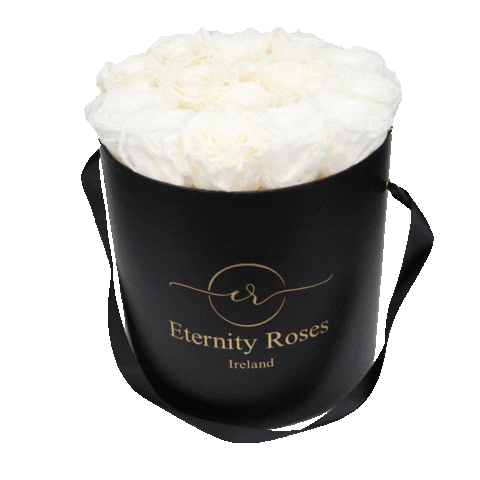 Eternity Roses Sticker