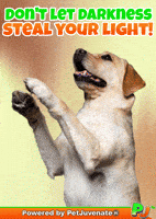 Henlo Hooman Fren GIF by PetJuvenate - PJ