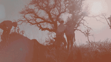 Bradford Cox Indie GIF by Deerhunter