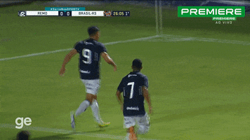 Serie A Serieb GIF by Canal Premiere