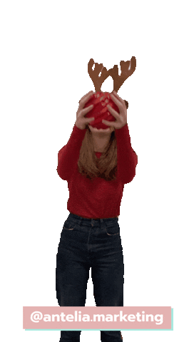 Christmas Reno Sticker by AnteliaMarketing