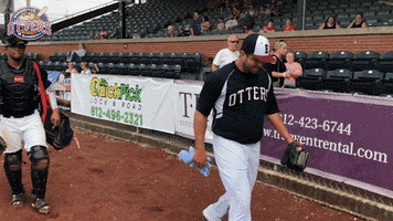 EvansvilleOtters baseball gameday pitcher warm up GIF