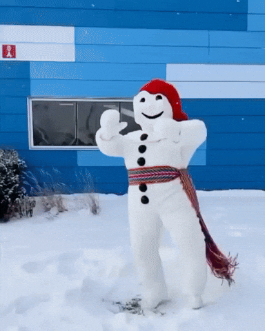 Carnaval de Québec GIF