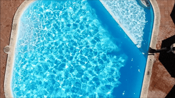 GIF by Indian Ocean Hotel