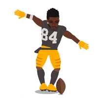 celebrate pittsburgh steelers GIF by SportsManias