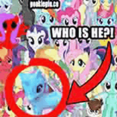 Who Is He My Little Pony GIF