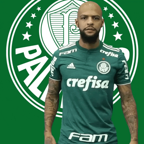 vem ca GIF by SE Palmeiras