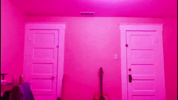 glitch pink GIF by hieronymus goon