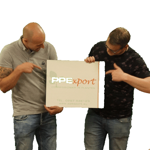 Ppexport Sticker by DutchShotz