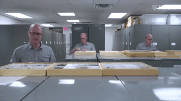 Collection Searching GIF by College of Natural Sciences, UT Austin