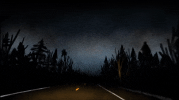 Driving Andy Shauf GIF by ANTI- Records
