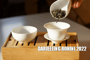 barovnacarovna GIF