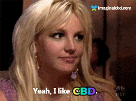 Britney Spears Love GIF by Imaginal Biotech