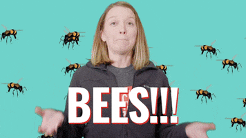 Arrested Development Bees GIF by StickerGiant