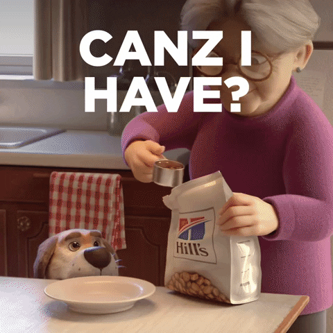 Hungry Pet Food GIF by Hill's Pet Nutrition