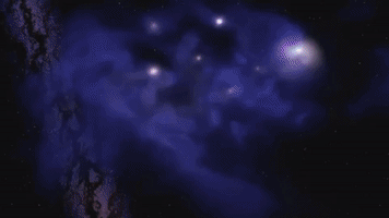 theofficialstartrek  GIF