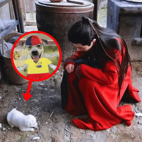 Silly Dog GIF